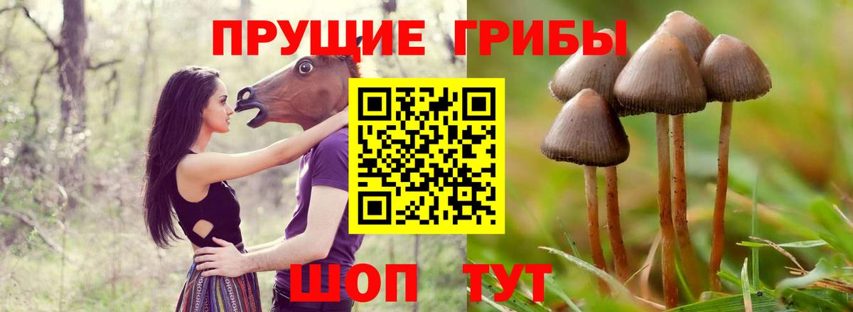 Галлюциногенные грибы мухоморы Истра